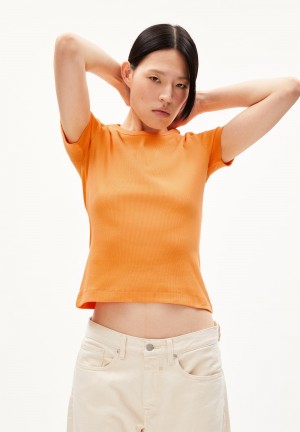 ARMEDANGELS KARDAA Rib-T-Shirt Regular Fit made of Organic Cotton Mix Mangorange | 6541-DHPCB