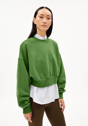ARMEDANGELS PHILIAA Sweatshirt Oversized Fit made of Organic Cotton Grün | 7593-SIOQD